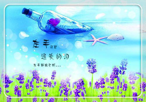 萧念窈陆奉行小说 萧念窈陆奉行完整版免费阅读