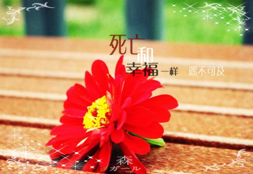 祝江宁祁斯年完整版 祝江宁祁斯年小说全文在线阅读
