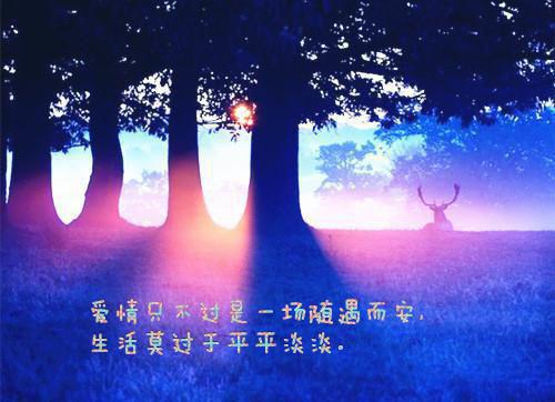 梧桐半死清霜后：全文+后续精选作品之一（宋迩陆宁）最新章节列表_梧桐半死清霜后：全文+后续精选作品之一全文阅读