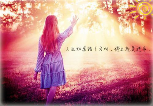 樱花落尽又逢君姜妩沈言沈晚免费章节在线阅读