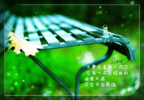 完结文一路向西：+后续+结局最新章节列表_完结文一路向西：+后续+结局全文免费阅读（路瑶钟郁）