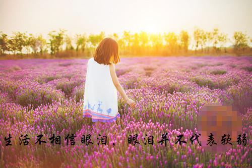 请在我的葬礼上说爱我新鲜出炉（安梨浅江映辰）已完结，请在我的葬礼上说爱我新鲜出炉已完结