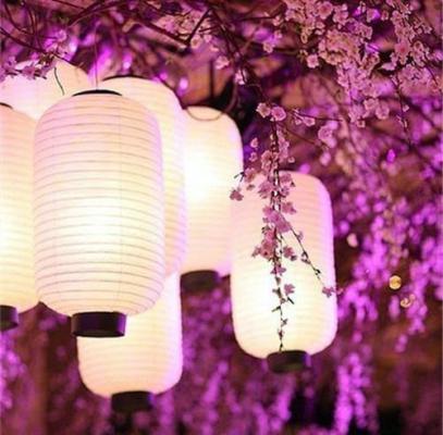 离歌彻骨，相思焚作灰：结局+番外（宁采风崔月灵）全文免费阅读无弹窗大结局_宁采风崔月灵全文最新章节列表_笔趣阁（离歌彻骨，相思焚作灰：结局+番外）