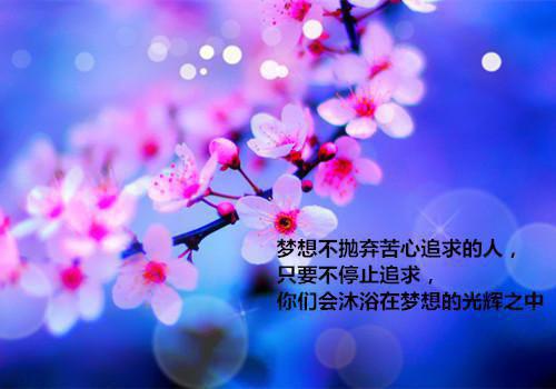 人面桃花长相忆优质全章（阮雾梨闻砚辞阮见微）最新章节_人面桃花长相忆优质全章全文阅读