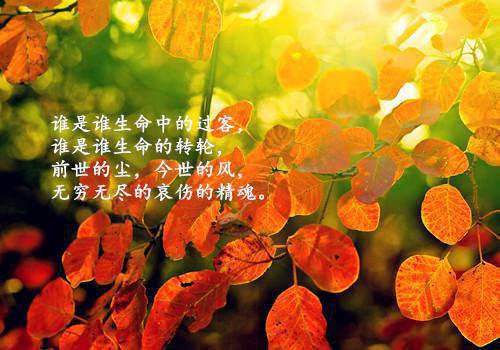 婆婆逼着医生签&ldquo;保孙协议&rdquo;，不准剖腹产最新章节 林晚林夕在线阅读