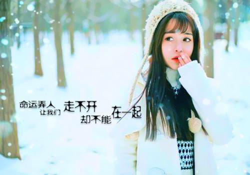 (完整版)苏璃顾景淮小说免费阅读无广告