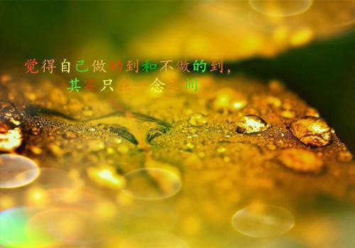 甄钰林如海林黛玉的故事 红楼之开局迎娶林黛玉章节阅读