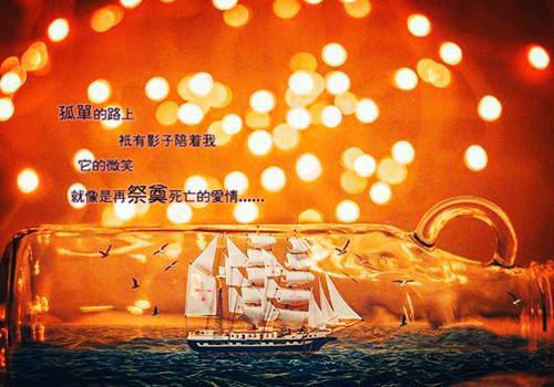 宋惊鸿霍西辞全文免费大结局 宋惊鸿霍西辞小说在线阅读