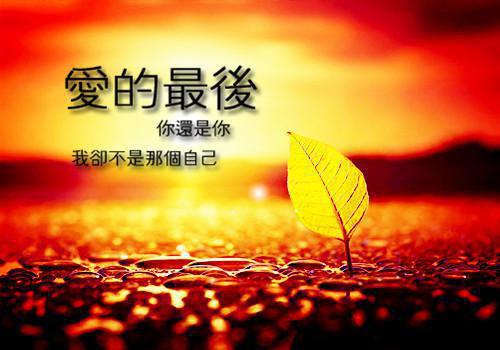 林疏月苏菲菲小说全文阅读 林疏月苏菲菲第4章