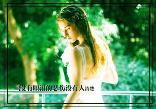 沈知景夏晴小说 沈知景夏晴完整版免费阅读