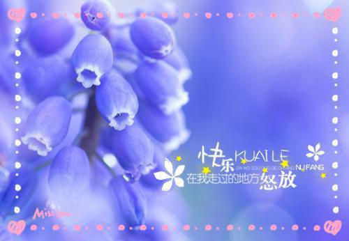 霍铮林软软全文阅读 霍铮林软软小说最新章节