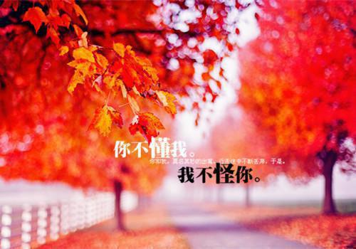 谢妖小说名字 送老婆去医院的路上，被节目组拦住章节试读