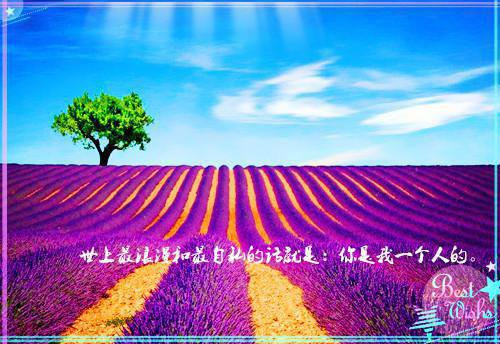 繁花盛意难平：结局+番外(陆依霜轩辕翊)全文免费阅读无弹窗大结局_(繁花盛意难平：结局+番外免费阅读全文大结局)最新章节列表_笔趣阁（陆依霜轩辕翊）