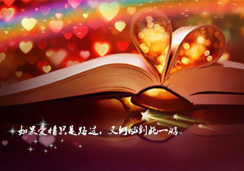 宋晚意秦淮序小说最新章节 宋晚意秦淮序免费阅读