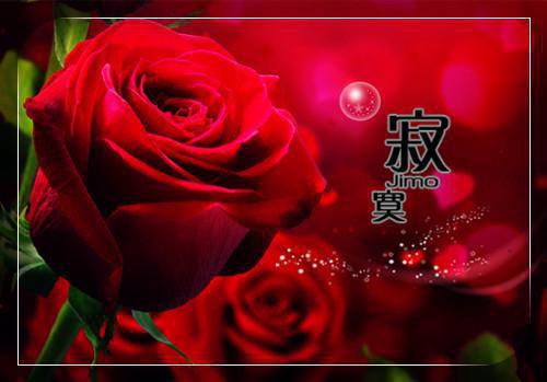重生***游，闺蜜把藏马熊带回家当宠物养最新更新 苏薇薇胡娜小说在线阅读