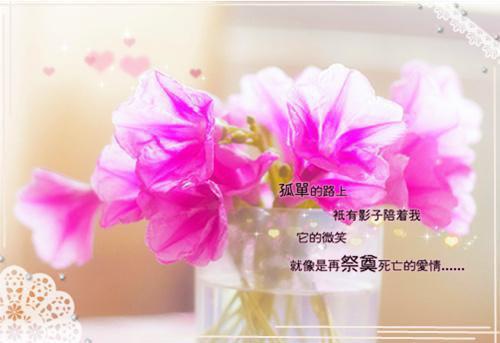 经年离歌愁未休：,顾允廷宋卿落后续+番外最新章节_经年离歌愁未休：,顾允廷宋卿落后续+番外全文阅读