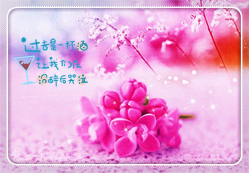 沈清琦姜自祈小说全文 沈清琦姜自祈小说免费阅读大结局