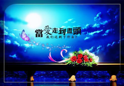 姜宁鹿野小说 姜宁鹿野全文免费阅读