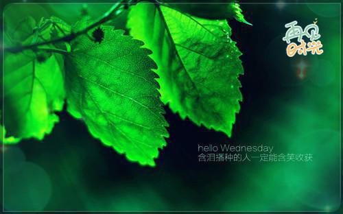 真假顾彦安小说 顾彦安林晚在线阅读第6章