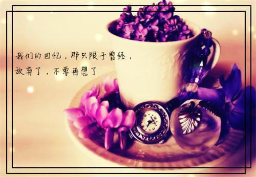 沈妗顾沉舟免费阅读目录 沈妗顾沉舟小说全文