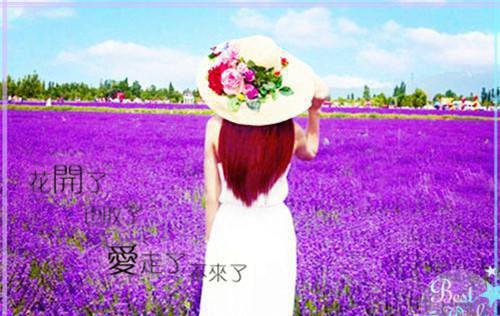 李清词宋云宋景舒最新篇章 飞升成功，我为儿子复仇全本免费阅读