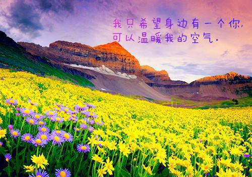 (最新)谷笙夏祁砚司小说完整版免费阅读
