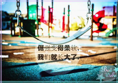 老公为恩人把我毒哑后,才知我才是真正的救命恩人白晓昙陆时君小说免费试读