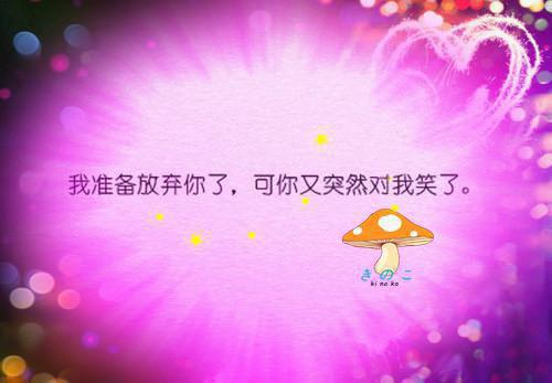沈诗雨墨景辞小说 蜡炬成灰再无你章节阅读