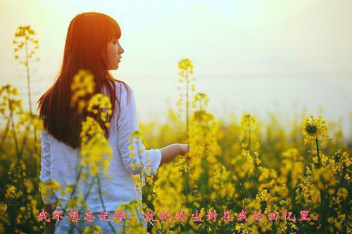 晓雯小徐主角的书 诡异的商场计数器全文阅读免费