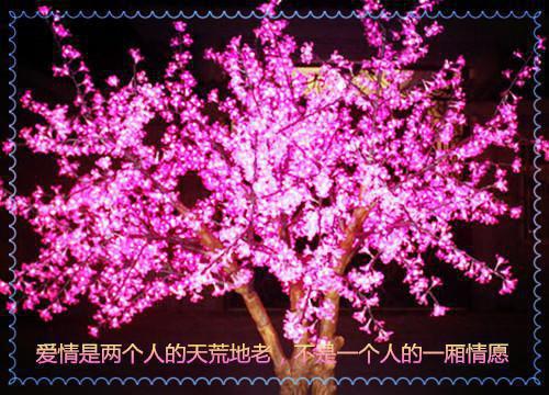 (抖音小说)纪云川萧明玥免费阅读