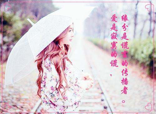 等风等雨等不到你：在线全文小说夏语栀祁墨寒小说在线阅读