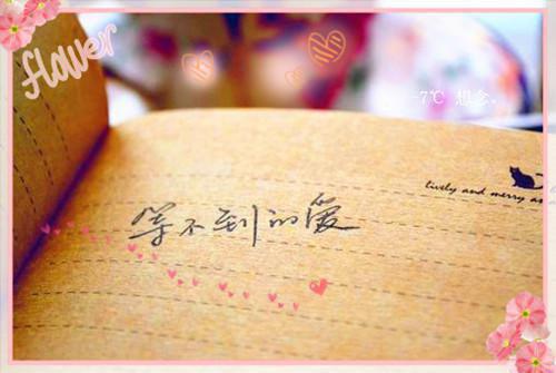 主角名是沈青黛顧懷瑾全文免费阅读正版