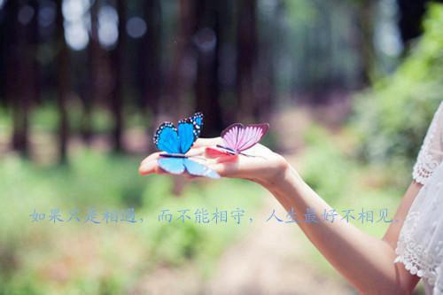 陈锋宁荣荣小说全免读 陈锋宁荣荣第4章在线阅读