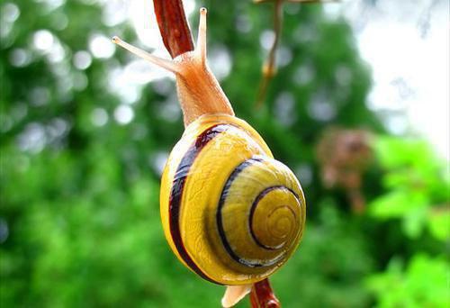 (番外)+(全文)人面桃花长相忆阮雾梨:+结局+番外(阮雾梨闻砚辞)完结阅读无弹窗大结局_(人面桃花长相忆阮雾梨:+结局+番外)最新章节列表_笔趣阁(阮雾梨闻砚辞)