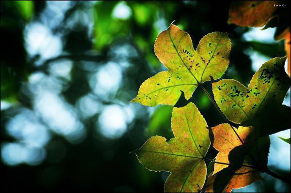 白富美抢占我的宿舍开派对后,校长慌了最新章节 阮菁菁在线阅读