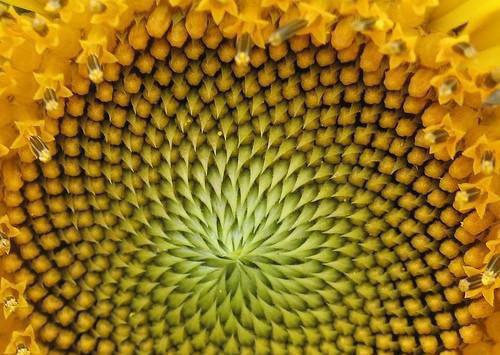 叶凡李世民小说 叶凡李世民全文免费阅读