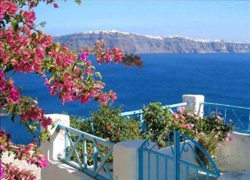 傅书礼沈书茵小说叫什么名字 傅书礼沈书茵全文免费阅读