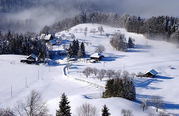 顾今辞顾景辞是什么书 顾今辞顾景辞免费章节在线阅读