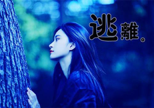 阮念桃顾停云最后结局 阮念桃顾停云完结版免费阅读
