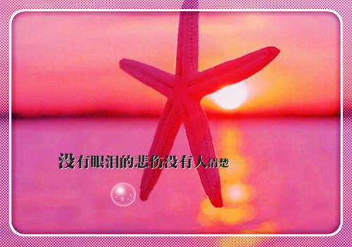 都快成圣子了，让我废材逆袭？无弹窗阅读 林玄司徒雪小说