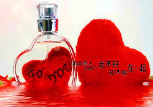 男友出轨后，我坚决不分手无弹窗阅读 元宝沈婉婷小说