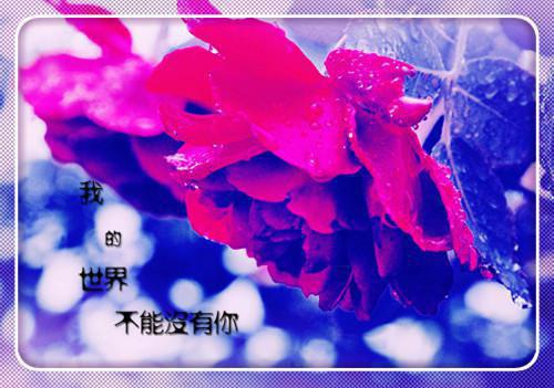 未婚夫让学妹白住我别墅，我让他全家破产苏晚季北辰小说首发小说 苏晚季北辰在线阅读