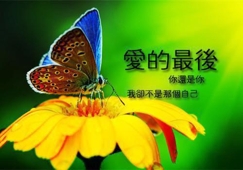 秦晴张景瑞小说(错付十年，回首尽惘然)（秦晴张景瑞）在线畅读阅读连载中