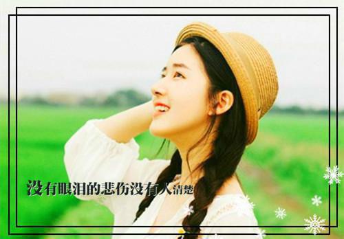 回廊曾共数流萤小说全文免费阅读乔湛裴柯宁姜知允小说在线免费阅读(大结局)