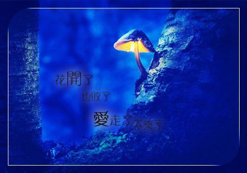 轩云州沈之蕴全文免费阅读最新 轩云州沈之蕴第2章