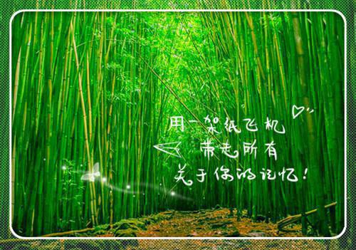 全本人面桃花长相忆：+全文+后续+完结（阮雾梨闻砚辞）最新章节列表_全本人面桃花长相忆：+全文+后续+完结全文阅读