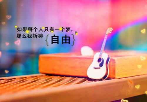 《林秀林小满林招娣小说》无弹窗全文免费阅读