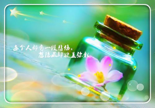 沈琉蓁顾司淮免费完结版 向来缘浅沈琉蓁顾司淮小说阅读