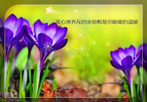 坠崖换人：小说全文+后续卫澄赵明窈昭言陆芙茵小说(完整)免费阅读