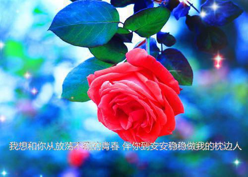 重生换嫁小叔后,未婚夫后悔万分（肆月顾斯年顾淮川）全文免费_（肆月顾斯年顾淮川）重生换嫁小叔后,未婚夫后悔万分后续阅读（肆月顾斯年顾淮川）